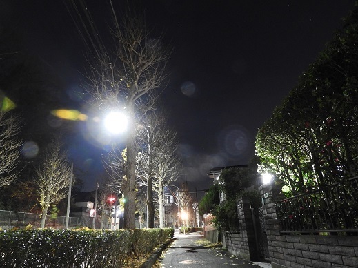 DSCN3263.jpg